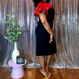 Cattiva Ruffle Sleeve Dress